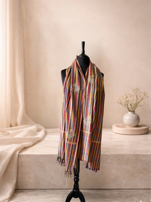 Multicolour striped pashmina shawl with fringed ends worn over the shoulders, front view