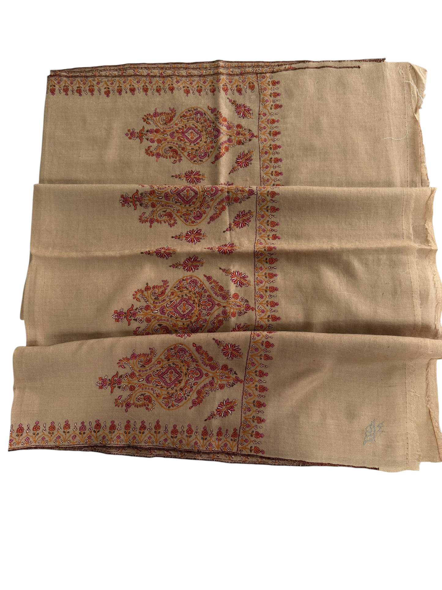 Beige Pashmina Shawl with Sozni Paisley Border Embroidery